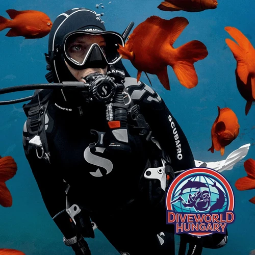 Weboldal készítés - Diveworld Hungary