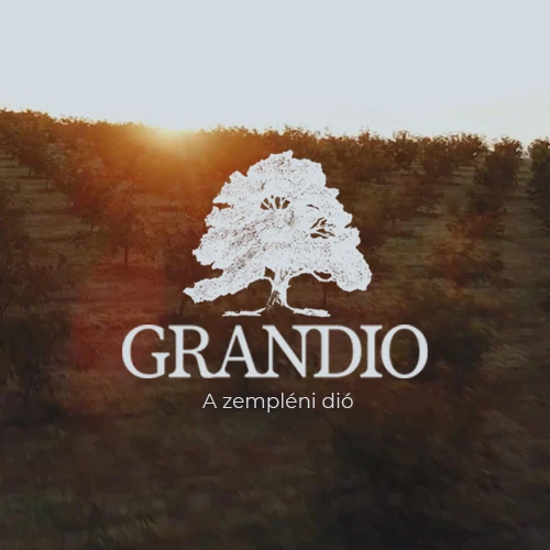 Weboldal készítés - Grandió Hungary